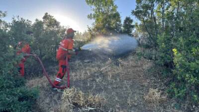 Bingöl’de çıkan orman yangını, ekiplerin müdahalesiyle kontrol altına alındı. Edinilen