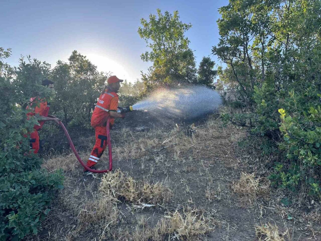 Bingöl’de çıkan orman yangını, ekiplerin müdahalesiyle kontrol altına alındı. Edinilen