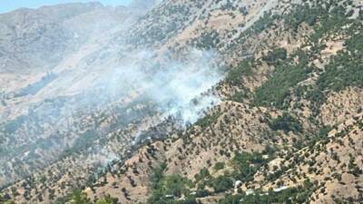 Bingöl’de çıkan orman ve arazi yangınları, ekiplerin müdahalesiyle kontrol altına