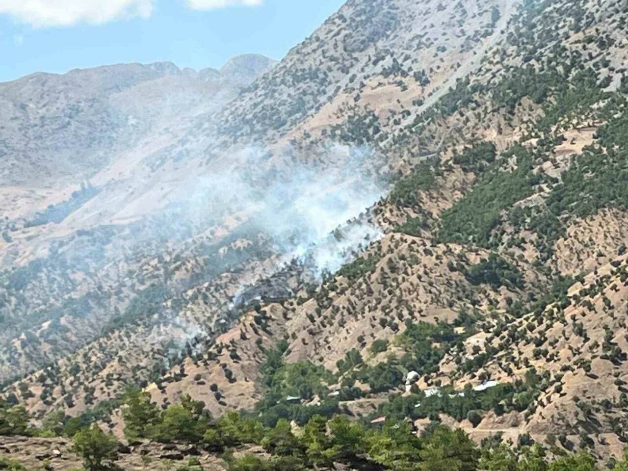 Bingöl’de çıkan orman ve arazi yangınları, ekiplerin müdahalesiyle kontrol altına