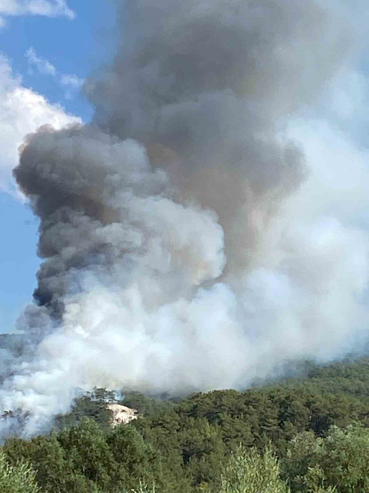Bolu’nun Göynük ilçesinde ormanlık alanda yangın çıktı. Alevler hızla büyürken,