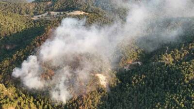Bolu’nun Göynük ilçesinde ormanlık alanda çıkan yangın, büyük ölçüde kontrol