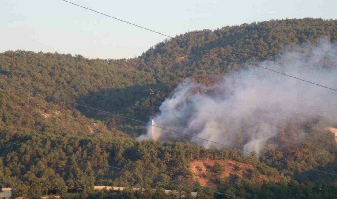Bolu’nun Göynük ilçesinde ormanlık alanda çıkan yangına 160 personel ve