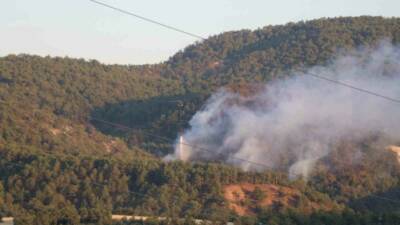 Bolu’nun Göynük ilçesinde ormanlık alanda çıkan yangına 160 personel ve