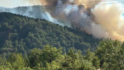 BOLU (AA) – Bolu’nun Göynük ilçesinde çıkan orman yangınını söndürme
