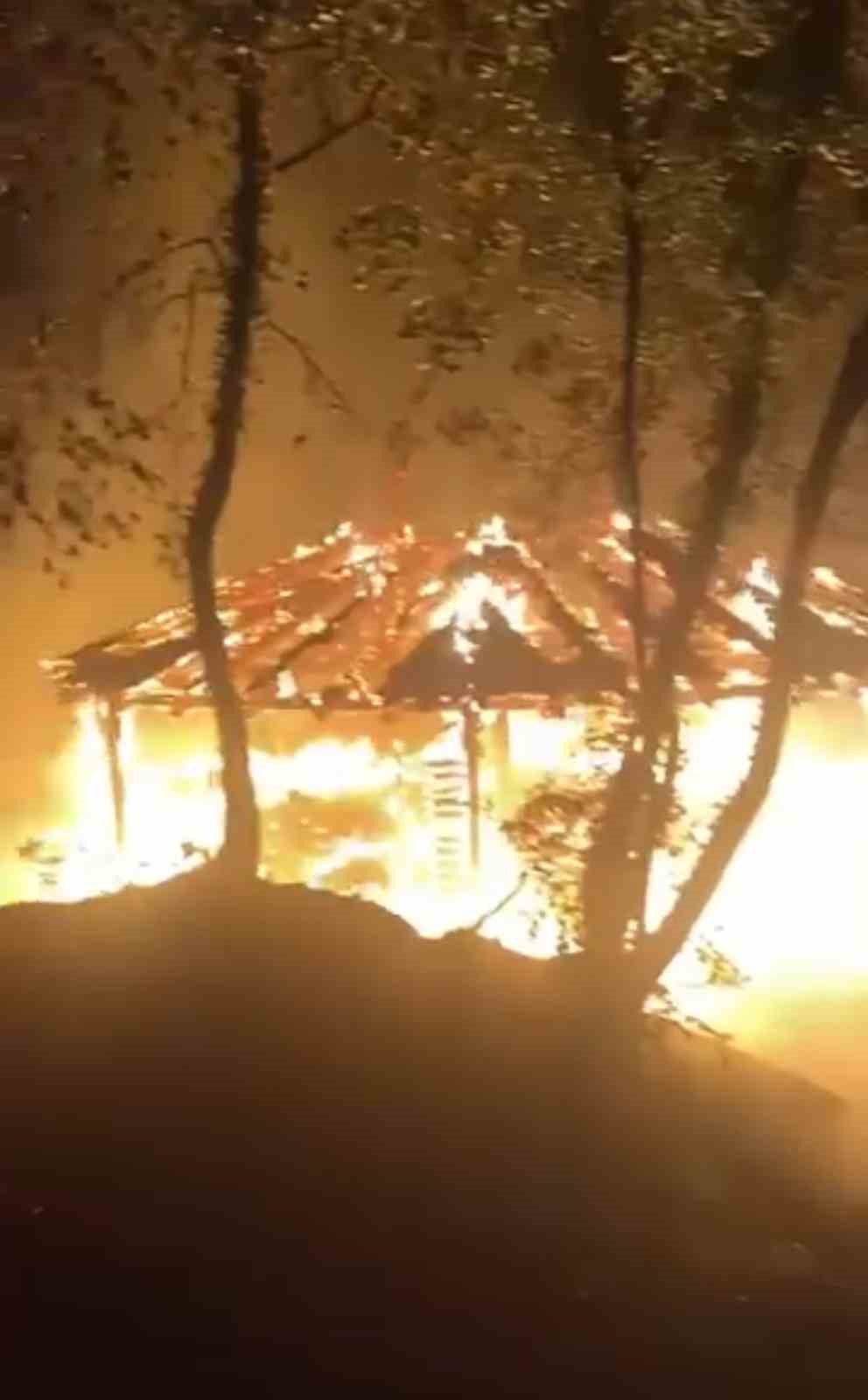 Bursa’da Uludağ’ın eteklerindeki Hamamlıkızık bölgesinde piknikçilerin söndürmeden bıraktığı ateş ormanı