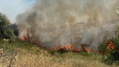 İSTANBUL (AA) – Büyükçekmece’de otluk alanda çıkan yangına itfaiye ekiplerince