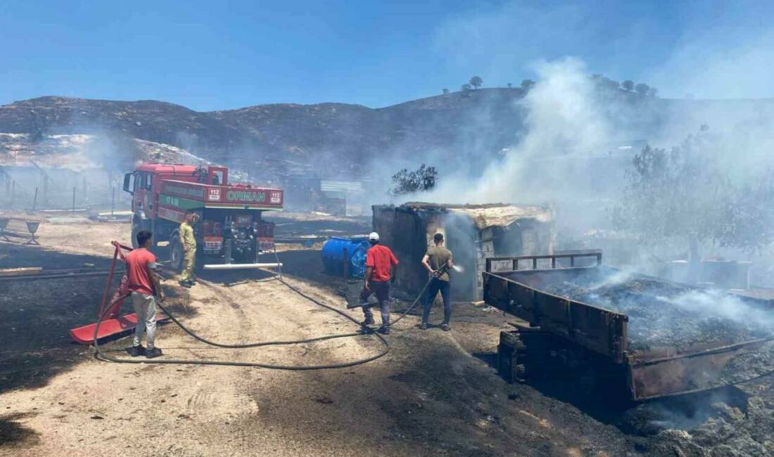 Çanakkale’nin Ayvacık ilçesine bağlı Kösedere köyünde makilik alanda çıkan yangında