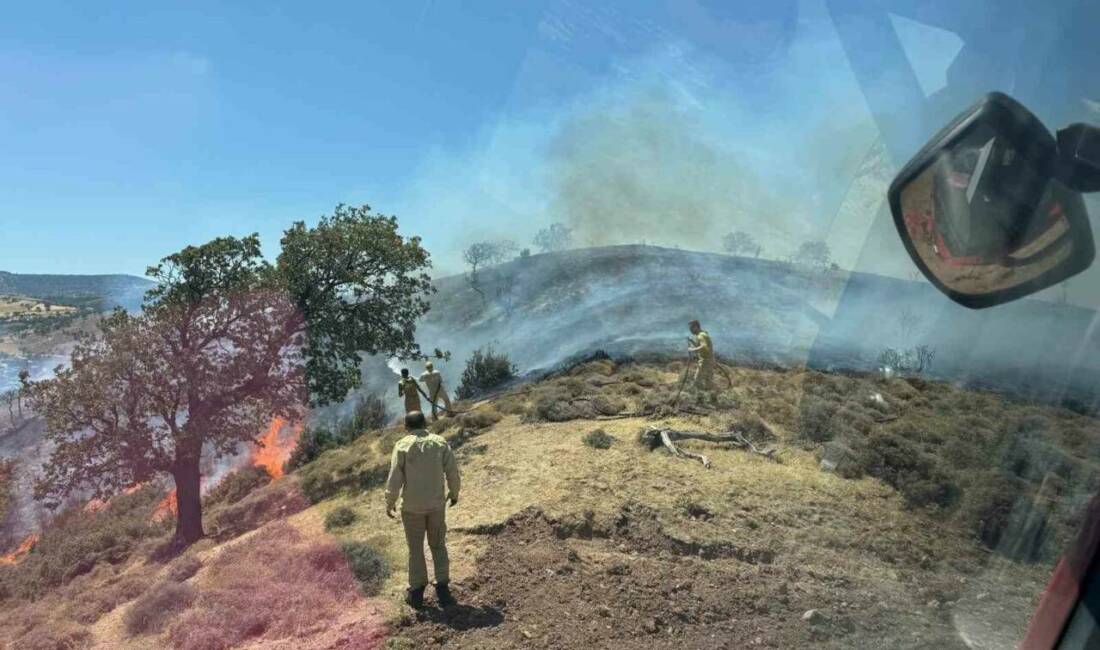 Çanakkale’nin Ayvacık ilçesinde makilik alanda çıkan yangını kontrol altına almak