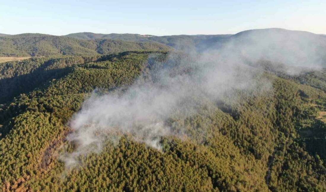 Çankırı’nın Ilgaz ilçesi ile Kastamonu’nun Tosya ilçesi sınırındaki ormanlık alanda