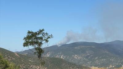 ÇANKIRI (AA) – Çankırı’nın Ilgaz ilçesindeki ormanlık alanda çıkan yangına