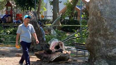 Kocaeli’nin Gölcük ilçesinde çınar ağacından kopan dalın üzerlerine düşmesi sonucu