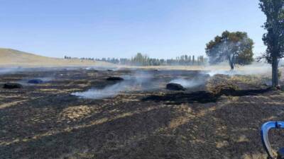 Çorum’un Sungurlu ilçesine bağlı Yörüklü köyünde bir tarlada çıkan yangında