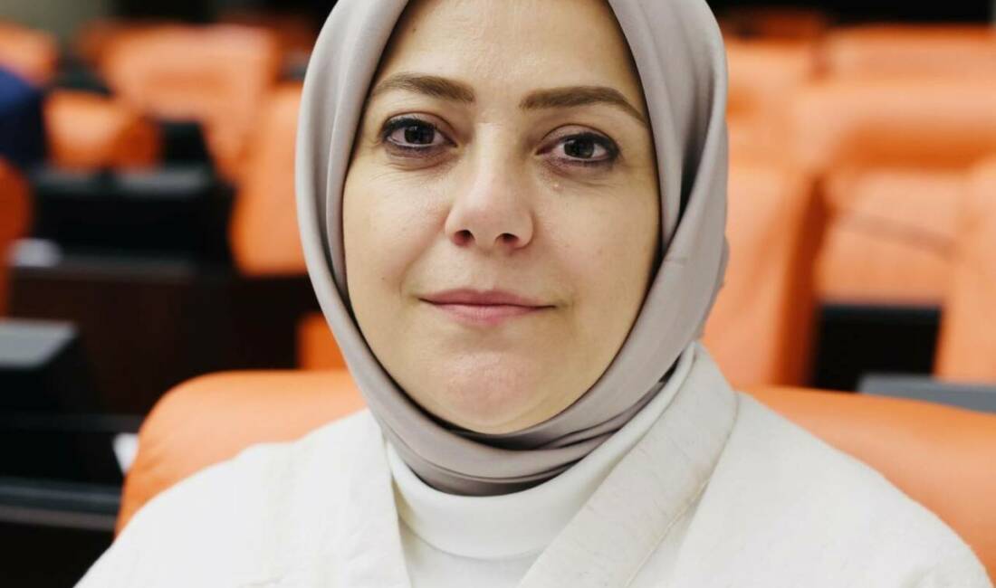 Gelecek Partisi Denizli Milletvekili Sema Silkin Ün, önceki gün sürekli
