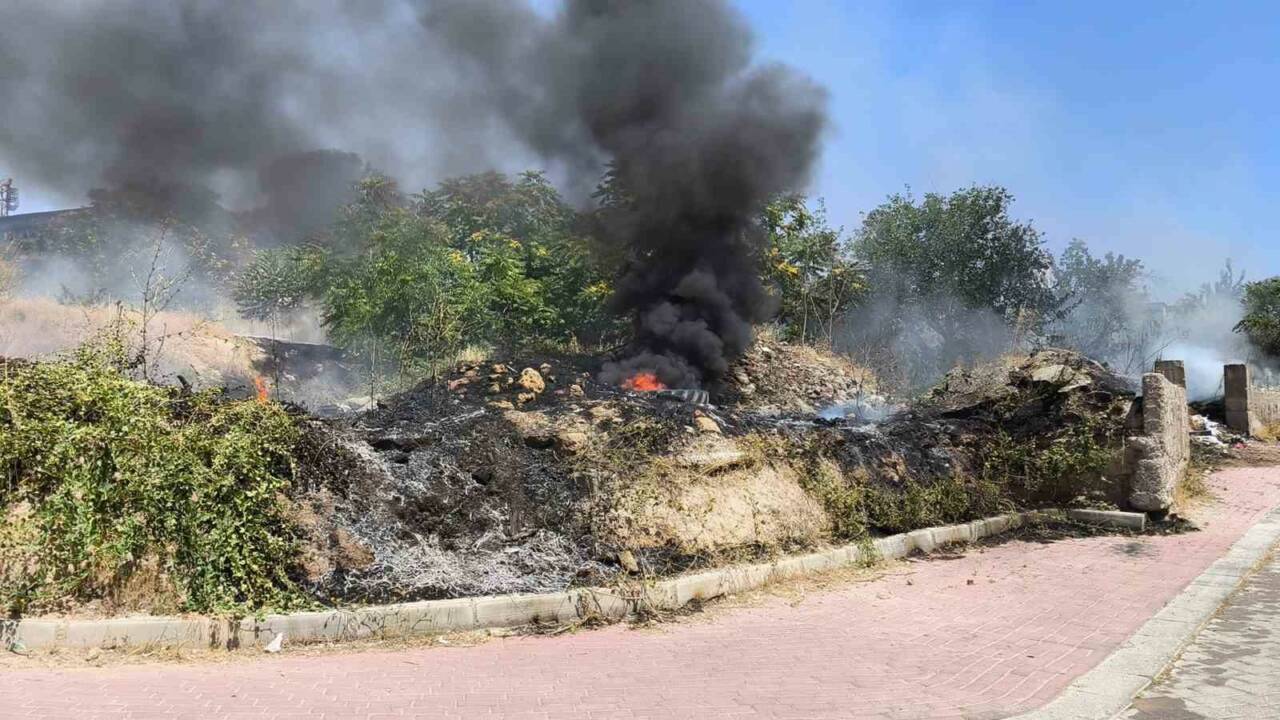 Denizli’de otlarla kaplı boş arazide çıkan örtü yangını, çevre bahçelerdeki