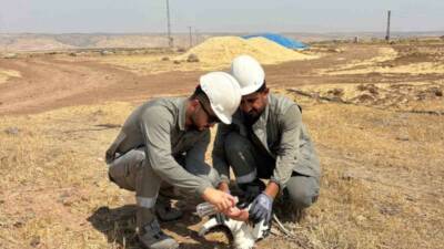 Mardin’in Nusaybin ilçesinde, hava sıcaklığının 49 dereceyi bulduğu kavurucu sıcakta