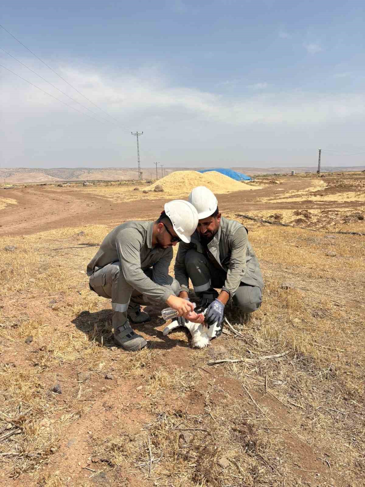 Mardin’in Nusaybin ilçesinde, hava sıcaklığının 49 dereceyi bulduğu kavurucu sıcakta