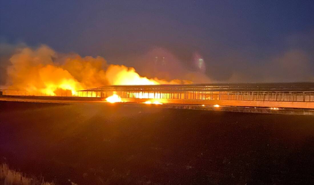 DİYARBAKIR (AA) – Diyarbakır’ın Eğil ilçesinde tarım arazisinde çıkan yangın