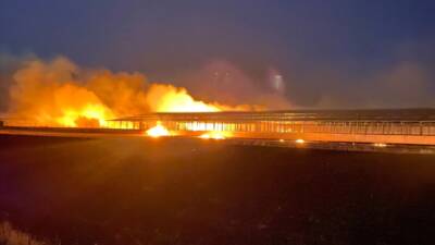 DİYARBAKIR (AA) – Diyarbakır’ın Eğil ilçesinde tarım arazisinde çıkan yangın