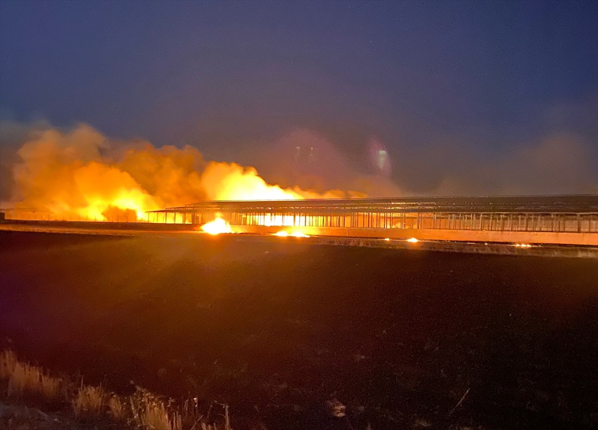 DİYARBAKIR (AA) – Diyarbakır’ın Eğil ilçesinde tarım arazisinde çıkan yangın