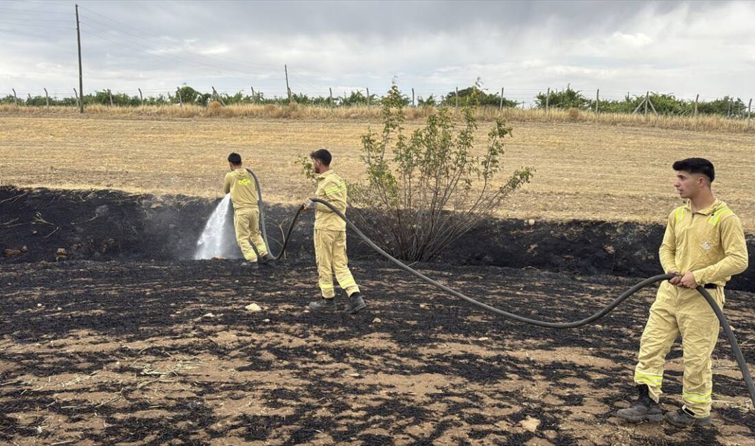 DİYARBAKIR (AA) – Diyarbakır’ın Dicle, Hazro ve Lice ilçelerinde ormanlık