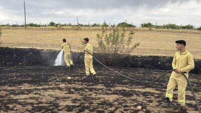 DİYARBAKIR (AA) – Diyarbakır’ın Dicle, Hazro ve Lice ilçelerinde ormanlık