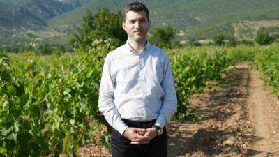 Tokat’ın Erbaa ilçesinde Narince bağ yaprağından bu sezon 2 milyar