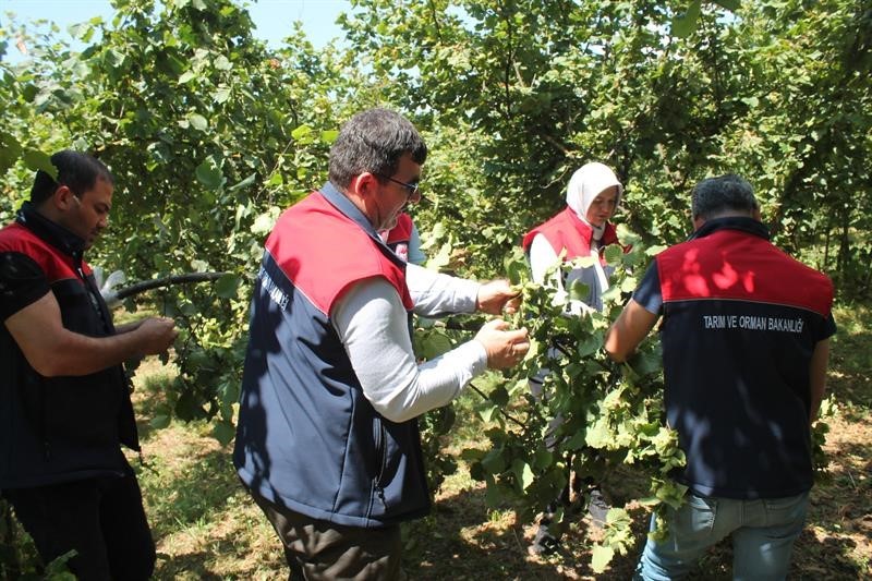 Düzce İl Tarım ve Orman Müdürlüğü tarafından yürütülen 2025 yılı