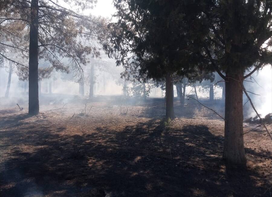 EDİRNE (AA)- Edirne’nin Enez ilçesinde ormanlık alanda çıkan yangın, ekiplerin