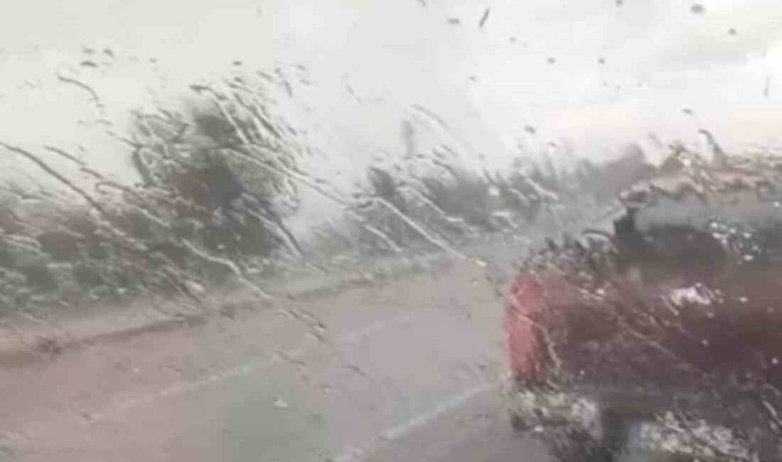 Elazığ’ın Karakoçan ilçesinde temmuz ayında dolu ve sağanak etkili oldu.