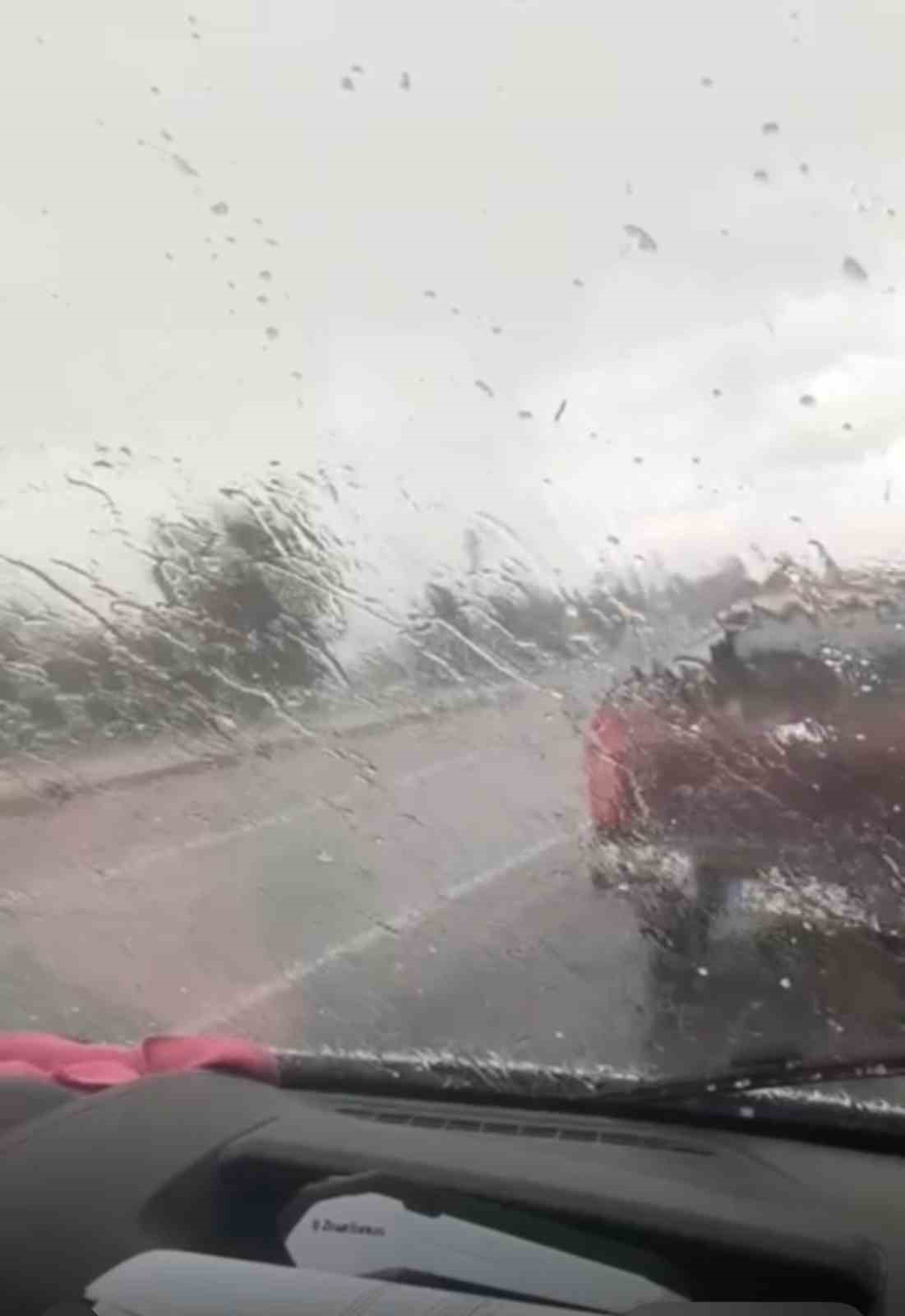 Elazığ’ın Karakoçan ilçesinde temmuz ayında dolu ve sağanak etkili oldu.