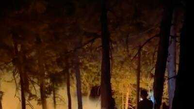 DENİZLİ (İHA) – Denizli’nin Acıpayam ilçesinde bulunan Eşeler Dağında akşam