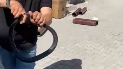 Hatay’ın Payas ilçesinde yaşayan ve bölgede “Yılancı Kemal” olarak tanınan