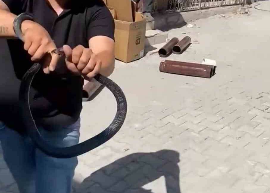 Hatay’ın Payas ilçesinde yaşayan ve bölgede “Yılancı Kemal” olarak tanınan