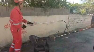 Hatay’ın Dörtyol ilçesinde bir eve giren yılan, özel bir aparatla