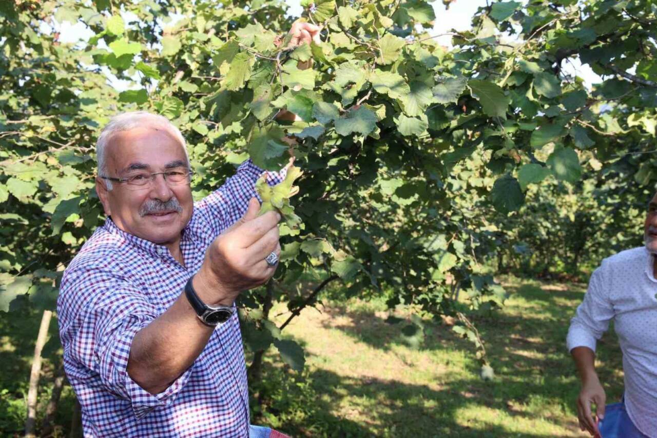 Ordu Büyükşehir Belediye Başkanı Dr. Mehmet Hilmi Güler’in uzun süredir
