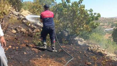 Adıyaman’ın Gölbaşı ilçesinde ormanlık alanda çıkan yangın büyümeden söndürüldü. Edinilen