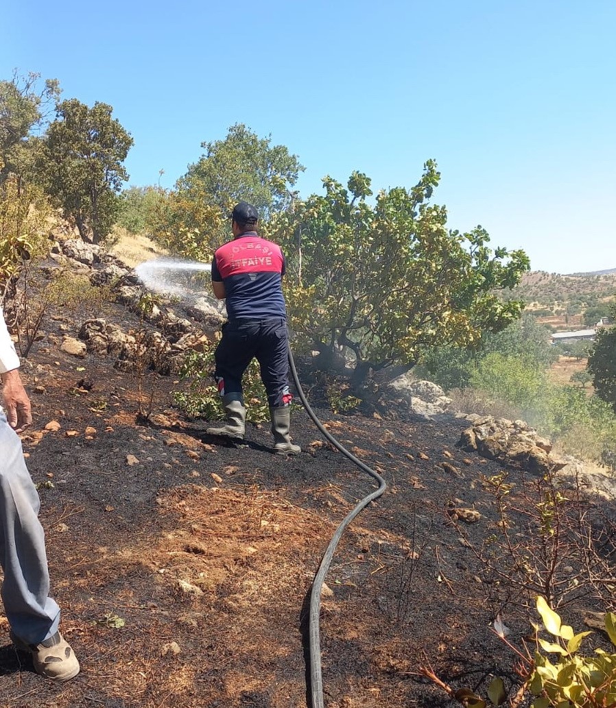 Adıyaman’ın Gölbaşı ilçesinde ormanlık alanda çıkan yangın büyümeden söndürüldü. Edinilen