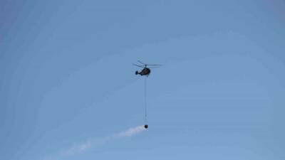 Hatay’ın Dörtyol ilçesinde dün çıkan orman yangınında günün ilk ışığıyla