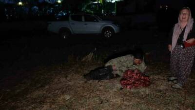 Antalya’nın Manavgat ilçesinde hayvan parkından kaçan Zeus isimli erkek aslan,