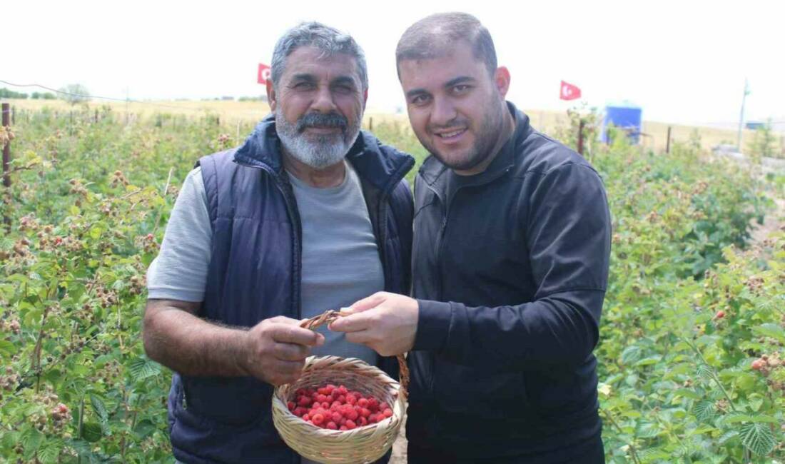 Kayseri’de yaşayan Çetin Demir’in 5 yıl önce hobi olarak kurduğu