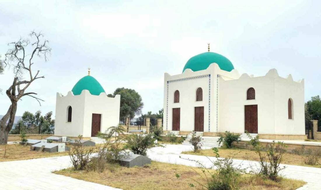Türk İş birliği ve Koordinasyon Ajansı Başkanlığı (TİKA), Etiyopya’nın Tigray