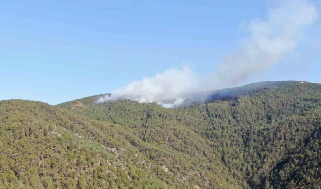 Kastamonu-Çankırı il sınırındaki ormanlık alanda çıkan yangın, dron ile görüntülendi.