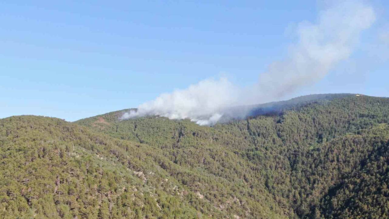 Kastamonu-Çankırı il sınırındaki ormanlık alanda çıkan yangın, dron ile görüntülendi.