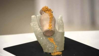 Malatya Turgut Özal Üniversitesi Zamanın İzlerine Yolculuk Topluluğu tarafından düzenlenen