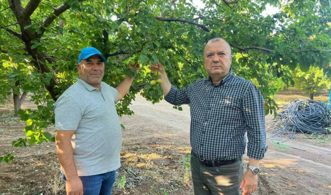 Isparta’nın Yalvaç ilçesinde bir çiftçinin, 11-12 Nisan’da yaşanan don hadisesinde