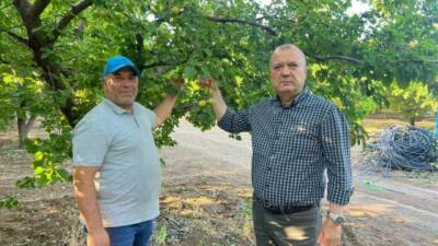 Isparta’nın Yalvaç ilçesinde bir çiftçinin, 11-12 Nisan’da yaşanan don hadisesinde