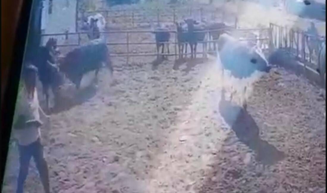 Isparta’nın Eğirdir ilçesinde bir besihanede bakım yaptığı boğanın saldırısına uğrayan