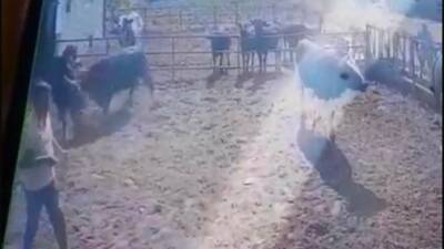 Isparta’nın Eğirdir ilçesinde bir besihanede bakım yaptığı boğanın saldırısına uğrayan