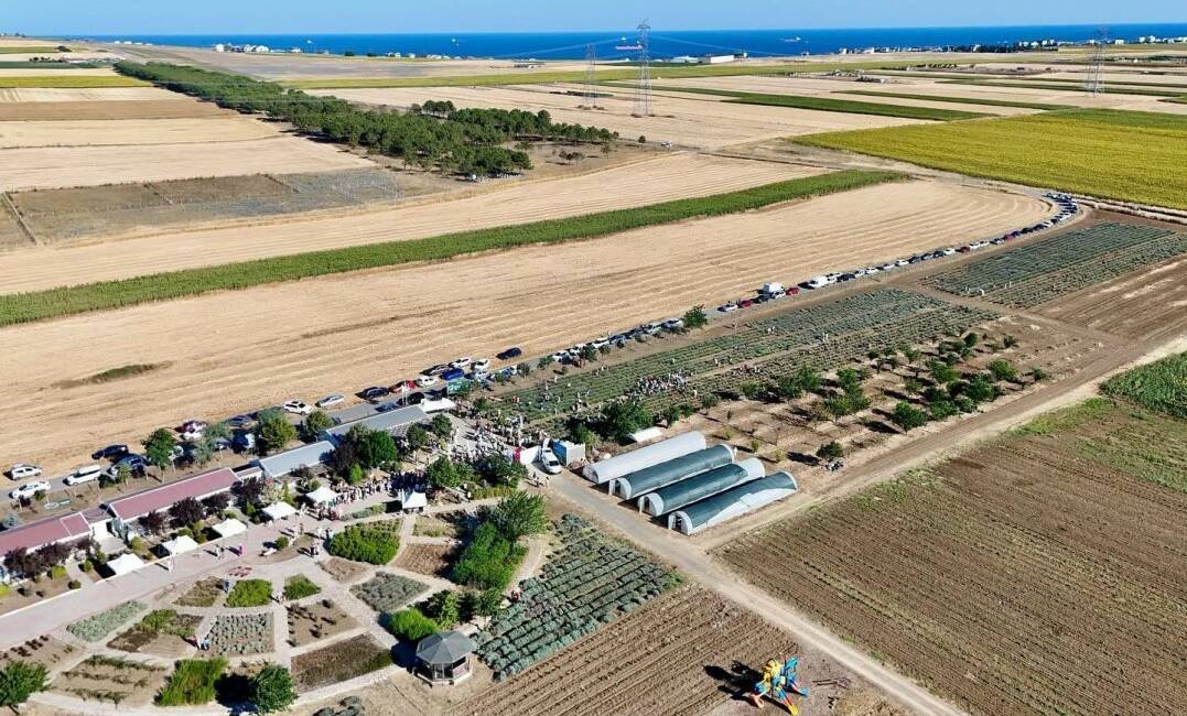 İstanbul’da Silivri Belediyesi, Tarımsal Üretim ve Araştırma Merkezi’nde düzenlenen Lavanta